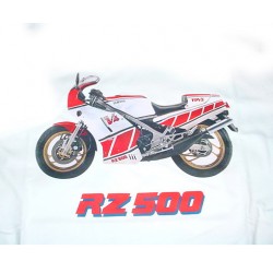 RZ500
