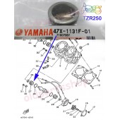 Yamaha TZR250 TDR250 RD500 Power Valve Holder 47X-1131F-01 free post