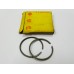 Suzuki TS50 Piston Ring 1.00 12140-05760