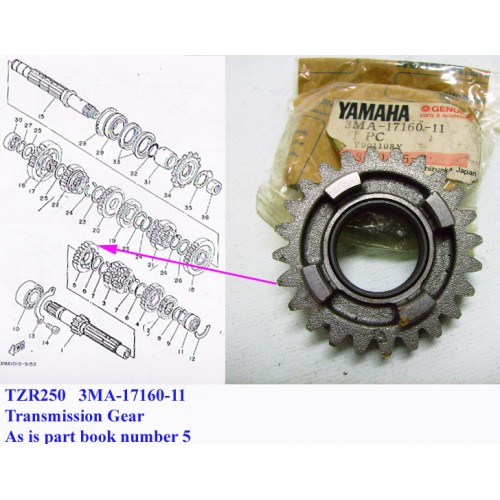 Yamaha TZR250 Transmission Gear 24T 6th Pinion 3MA-17160-11 free post