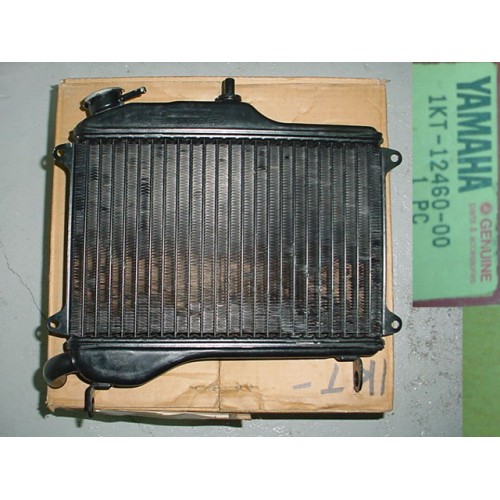 Yamaha TZR250 Radiator Assy TZR 250 GRILL 1KT-12460-00 free post