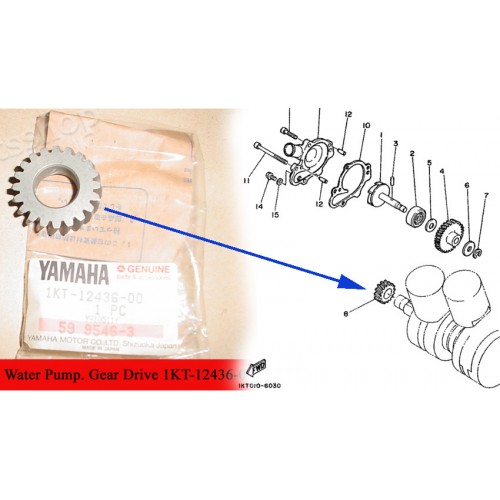 Yamaha TZR250 Crankshaft Gear Drive 1KT 2MA 2XU WATER PUMP 1KT-12436-00 free post